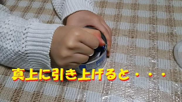 ＰＰＡＰ