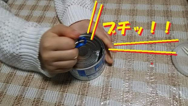 ＰＰＡＰ