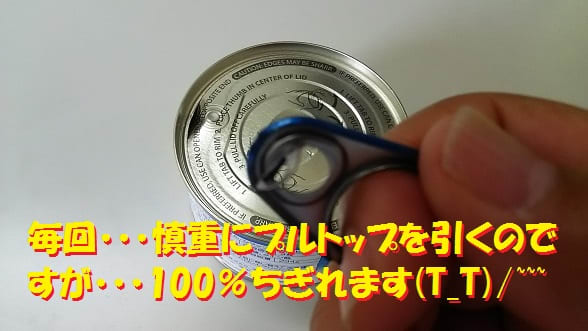 ペンパイナッポーアッポーペン♪(^O^)／