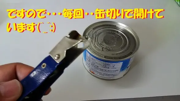 ペンパイナッポーアッポーペン♪(^O^)／
