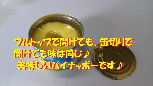 ペンパイナッポーアッポーペン♪(^O^)／