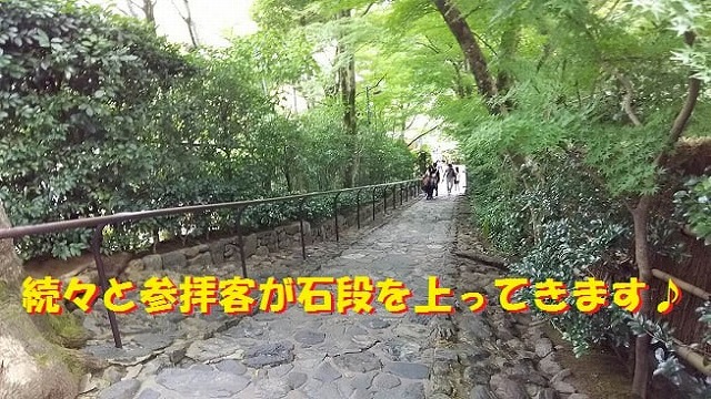 鈴虫寺
