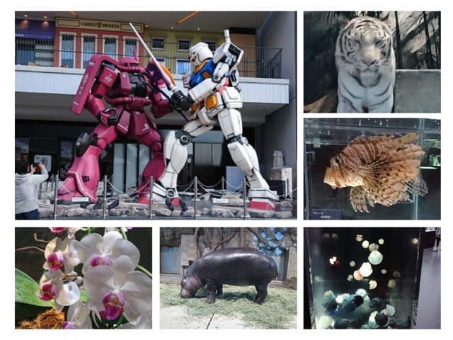 エキスポシティ