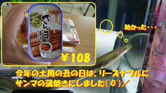 うな吉