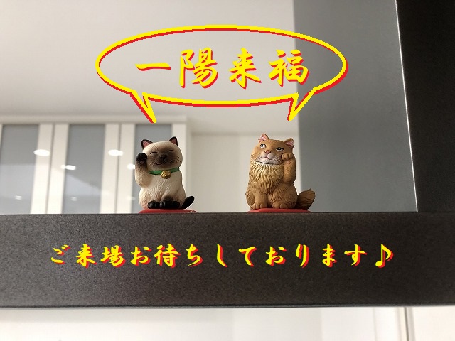 眠り猫