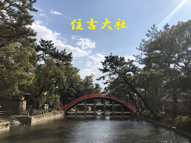 眠り猫