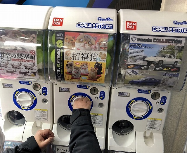 眠り猫