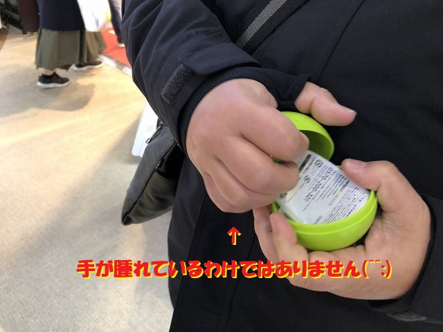 眠り猫
