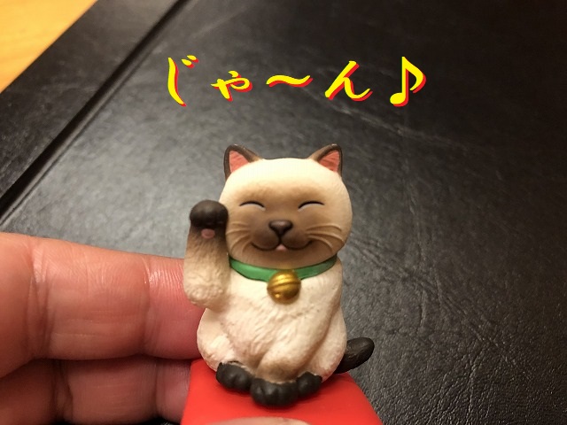 眠り猫