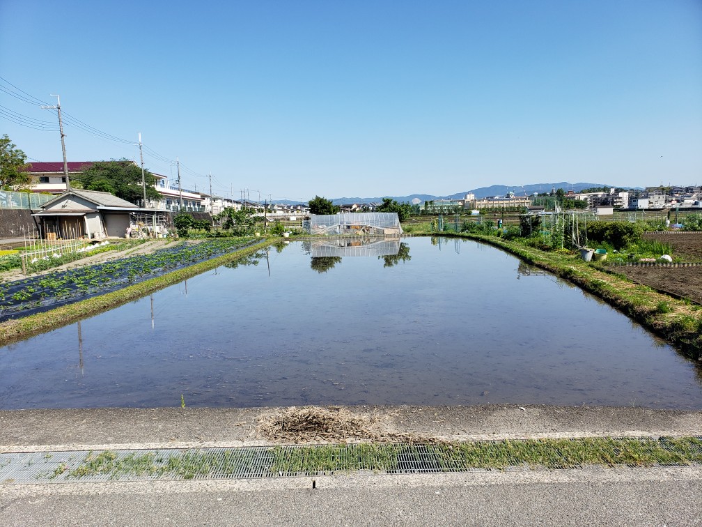 風景