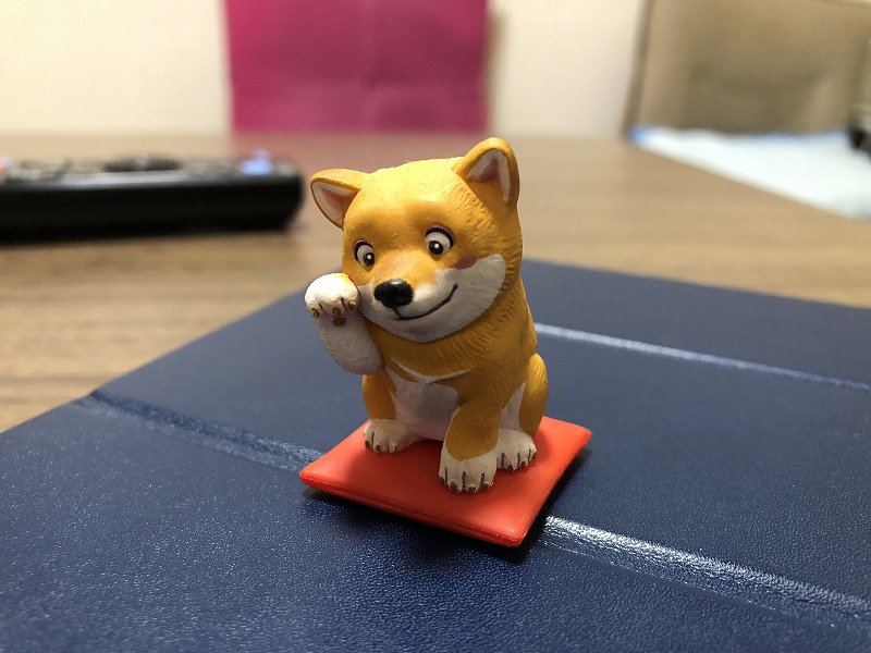 豆柴