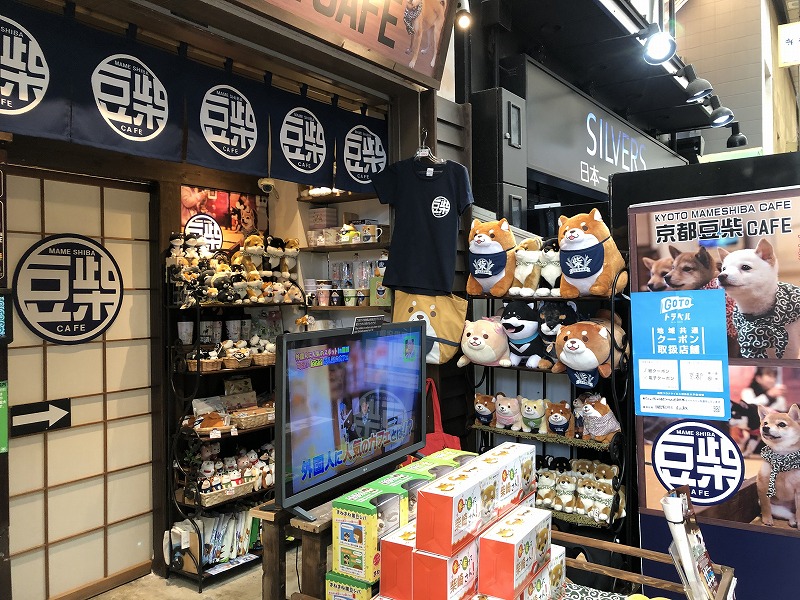 豆柴
