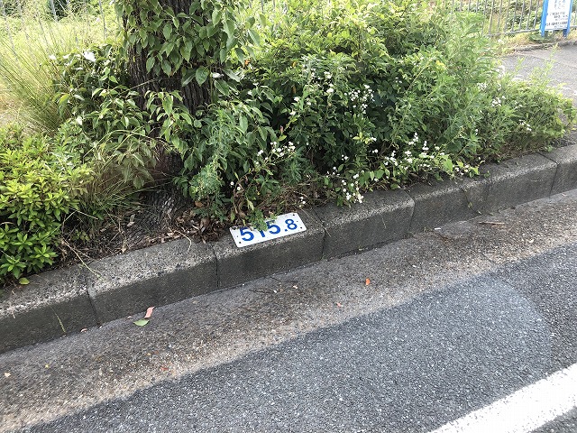 国道１号線