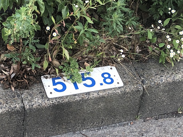 国道１号線