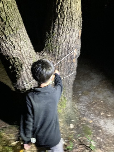 奈村工務店注文住宅建て替え