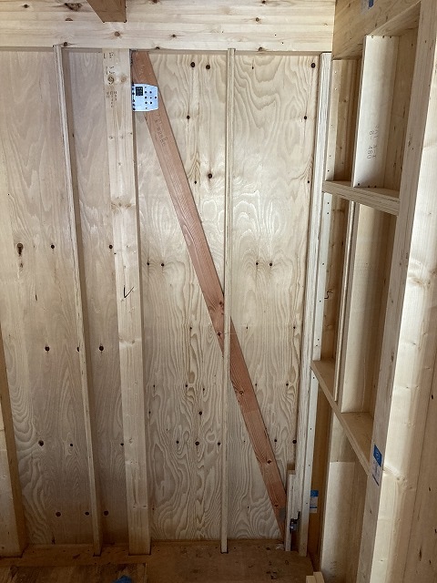 構造見学会カブト虫の季節