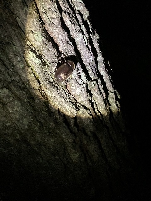 注文住宅建て替え奈村工務店