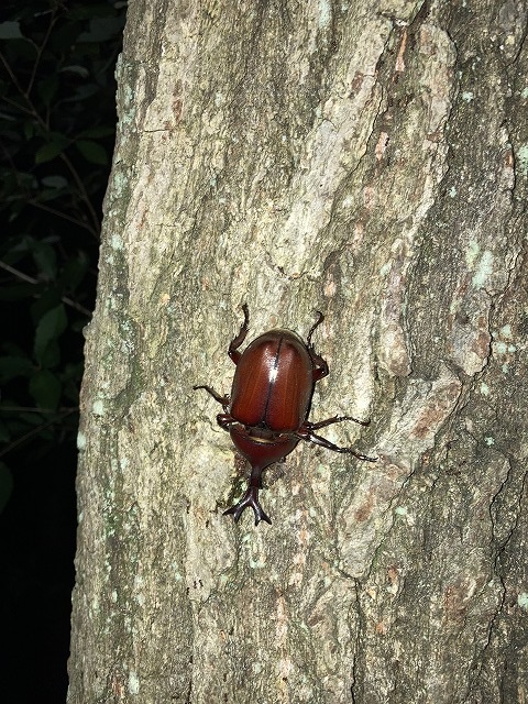 奈村工務店注文住宅建て替え