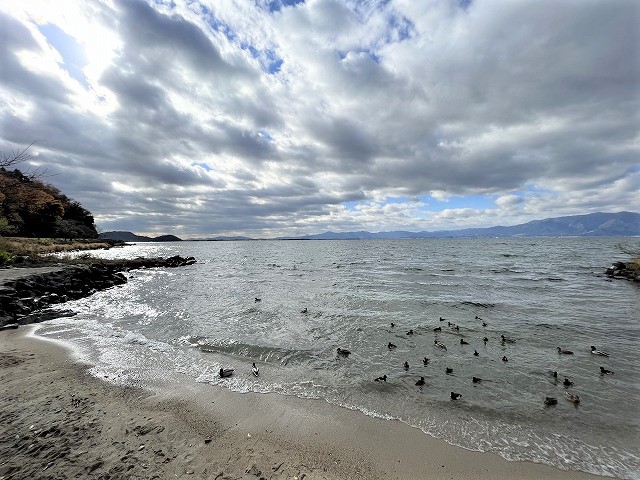 シャーレ水ヶ浜