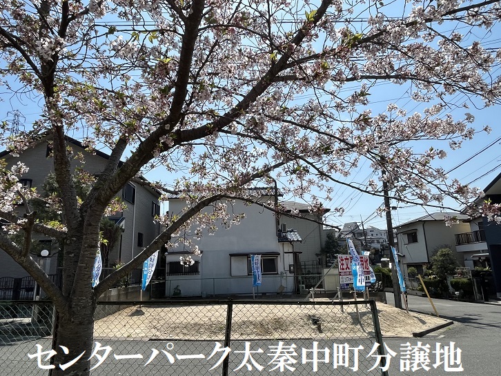 熱田公園の桜