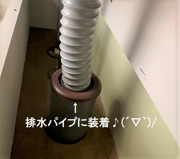 キッチンの異臭の原因
