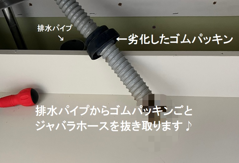 キッチンの異臭の原因