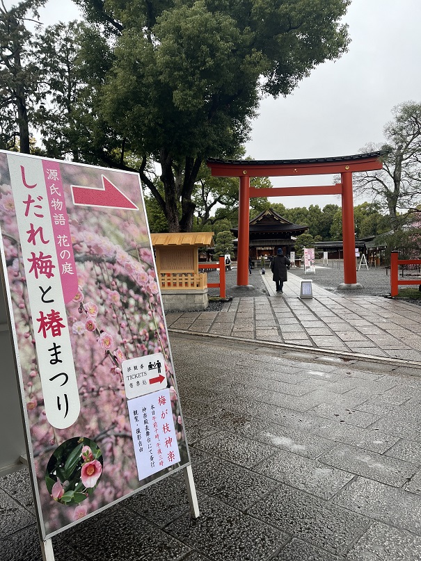 城南宮のしだれ梅1