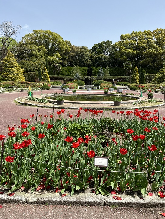 京都府立植物園19