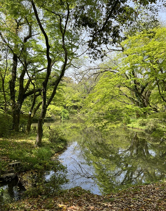 京都府立植物園3