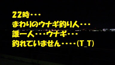 ウナギ釣り