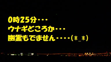 ウナギ釣り