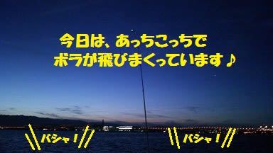 ウナギ釣り