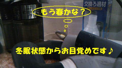 奈村工務店　うな吉