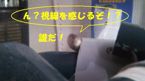 奈村工務店　うな吉