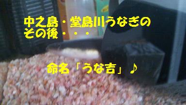 枚方公園　奈村工務店