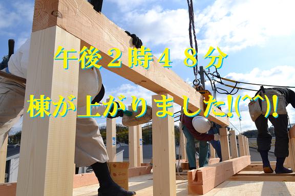 奈村工務店　上棟工事