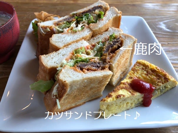 滋賀県高島市安曇川町　ソラノネ食堂