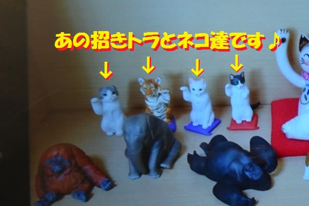 動物コレクション　招き猫　宮之阪４丁目　モデルハウス
