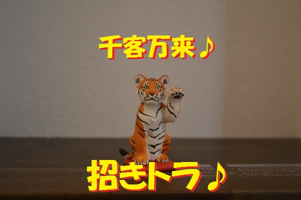 招き猫　金運上昇　モデルハウス　宮之阪