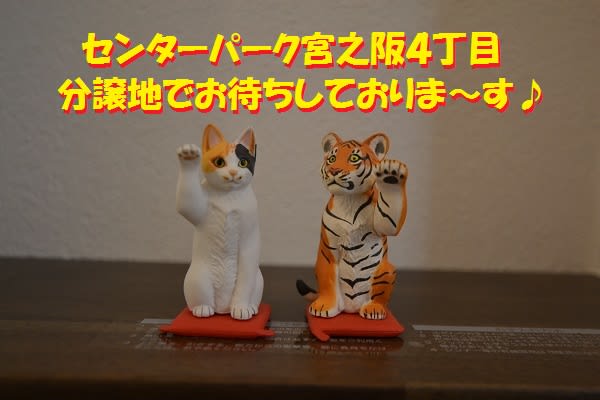 招き猫　金運上昇　モデルハウス　宮之阪
