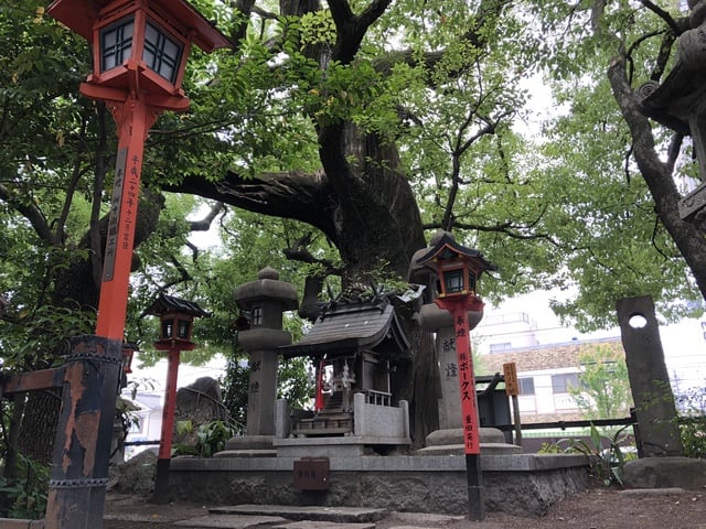 開運出世祈願！！平清盛＆若一神社&座敷わらし