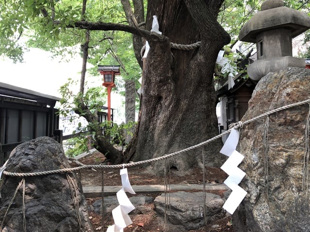 開運出世祈願！！平清盛＆若一神社&座敷わらし