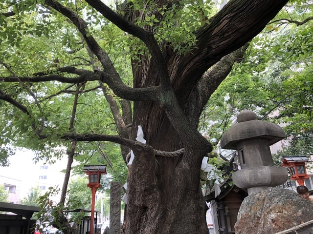 開運出世祈願！！平清盛＆若一神社&座敷わらし