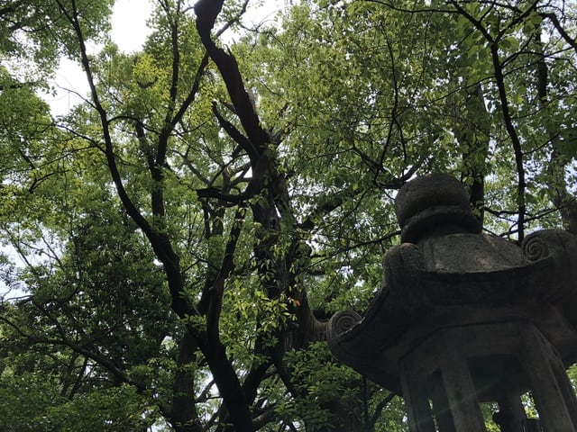 開運出世祈願！！平清盛＆若一神社&座敷わらし