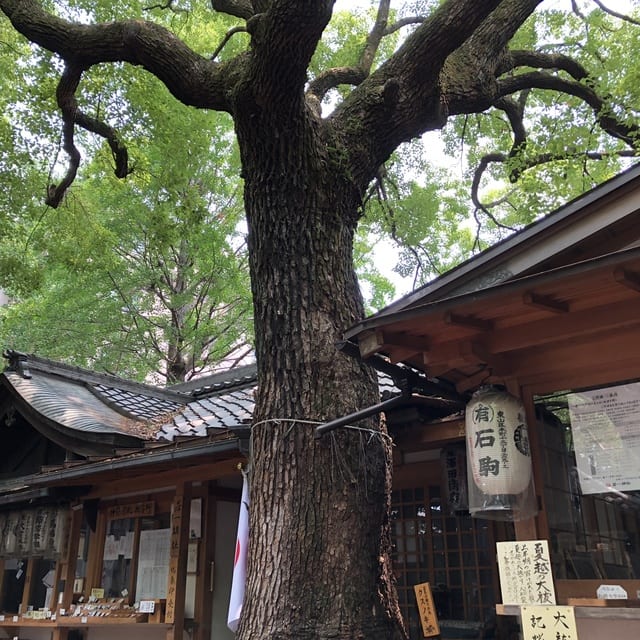 開運出世祈願！！平清盛＆若一神社&座敷わらし