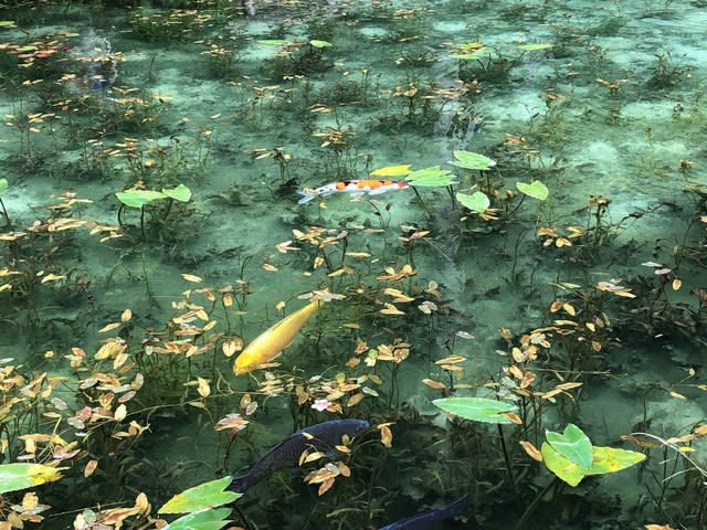 座敷わらしを求めて岐阜県へ