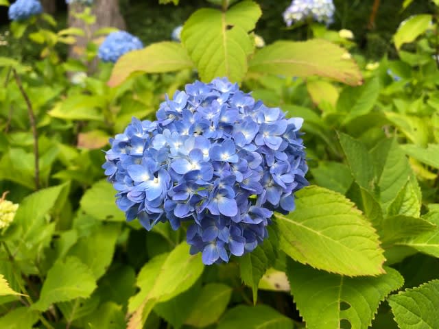 座敷わらしを求めて岐阜県へ