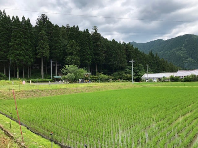 座敷わらしを求めて岐阜県へ
