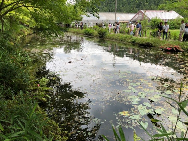 座敷わらしを求めて岐阜県へ