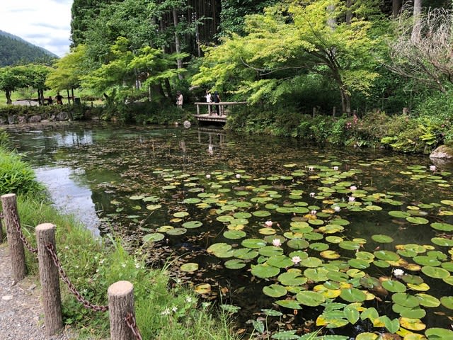 座敷わらしを求めて岐阜県へ